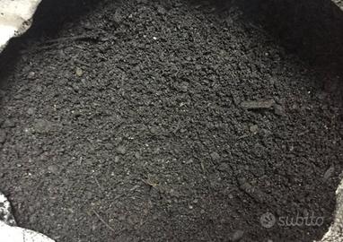 Biochar carbone