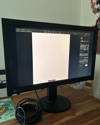 EIZO ColorEdge CS270 27” QHD 2560x1440 – Monitor