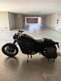 Harley davidson Roadster 