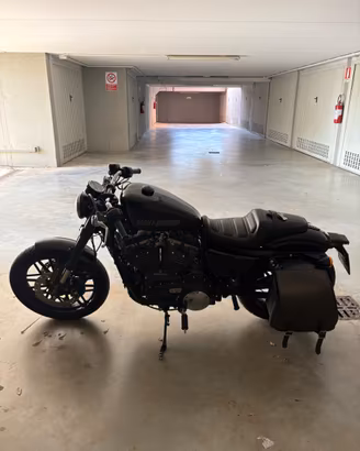 Harley davidson Roadster 
