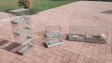 gabbie per canarino uccelli