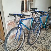 Due  mountain bike Cinelli Sentiero  originali