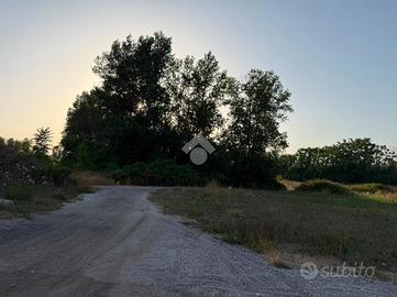 TER. AGRICOLO A SAN MARCELLINO