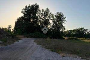 TER. AGRICOLO A SAN MARCELLINO