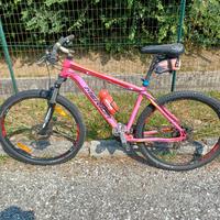 Bicicletta MTB 