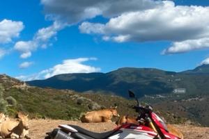 Hypermotard 939 sp