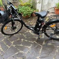 Bici elettro assistita