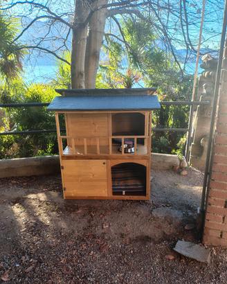 Casa per gatti