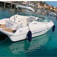 Sessa islamorada 23