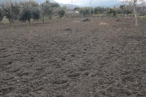 Terreno agricolo edificabile