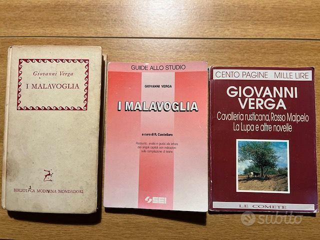 I Malavoglia - libro e riassunto - Libri e Riviste In vendita a Milano