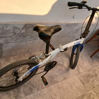 Biciclette pieghevole