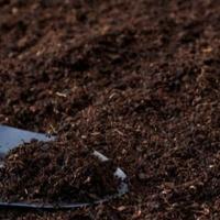 Terriccio di coltura