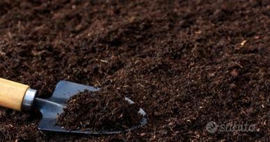 Terriccio di coltura