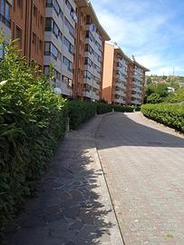 Stanze per studentesse o lavoratrici