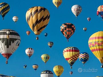 Direttore tecnico per agenzia viaggi Firenze