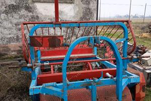 Trapiantatrice