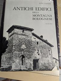 Antichi edifici della montagna Bolognese,2Volumi