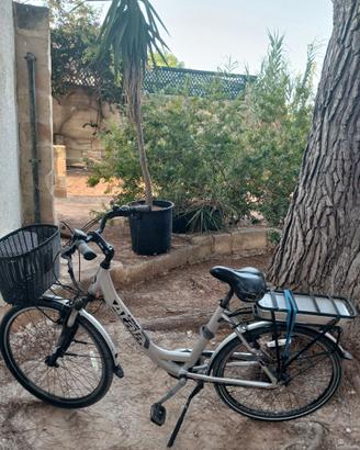 Bici elettrica