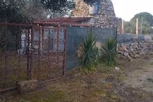 Terreno ulivi