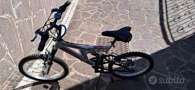 bicicletta bianca