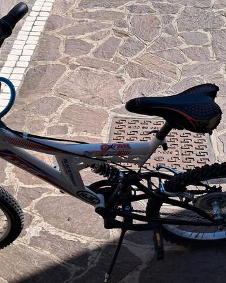 bicicletta bianca