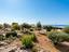 Immagine 26