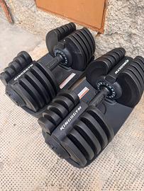 Coppia Manubri Regolabili Kingsgym come nuovi