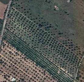 Terreno edificabile calendano