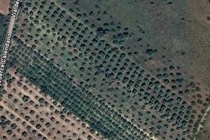 Terreno edificabile calendano