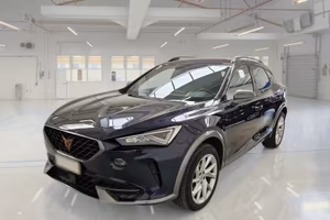 CUPRA FORMENTOR 2.0 TDI 4DRIVE DSG SUV