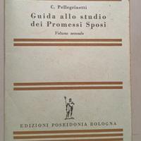 Guida allo studio dei promessi sposi Vintage