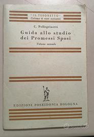 Guida allo studio dei promessi sposi Vintage
