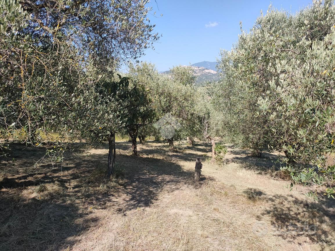 TER. AGRICOLO A MENTANA - Vista 4