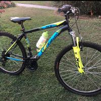 Bicicletta ragazzo/a