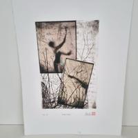 Acquaforte incisione calcografia firmata originale