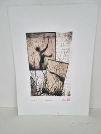 Acquaforte incisione calcografia firmata originale