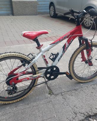 Bici mtb Ferrini Duke 20' da ragazzo