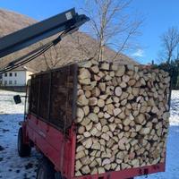 Legna da ardere stufa pizzeria camino maiolica