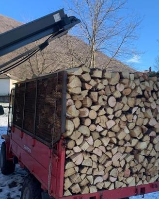 Legna da ardere stufa pizzeria camino maiolica