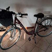 bici da donna.