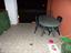Immagine 12