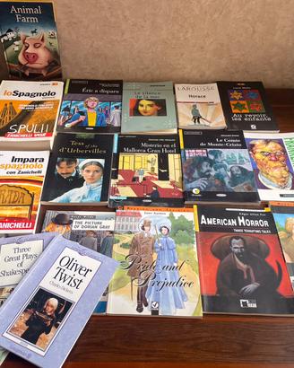 Lotto 17 libri inglese francese spagnolo più vocab