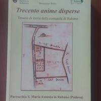 Storia del comune di Rubano