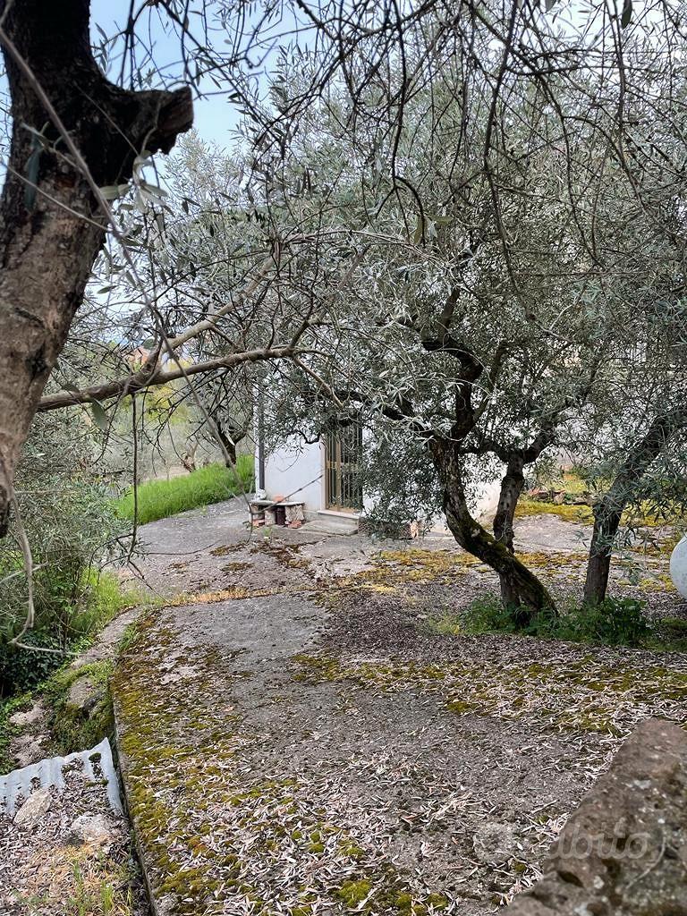 Villetta Pietradefusi - Vista 4