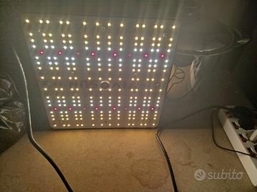 Lampade led per coltivazione di piante 