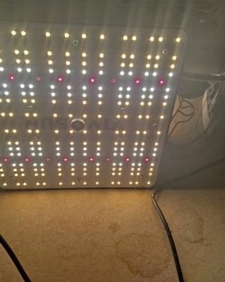 Lampade led per coltivazione di piante 
