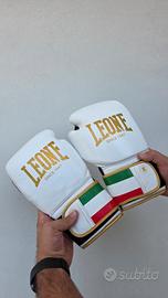 guantoni da boxe