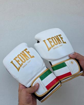 guantoni da boxe