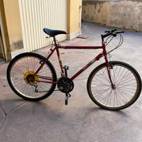 Bicicletta lombardo 26